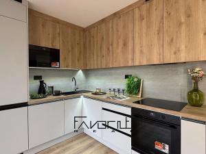 Pronájem bytu 2+kk, Ostrava, Dr. Martínka, 40 m2