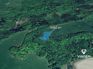 Prodej podílu pole, Životice u Nového Jičína, 2841 m2