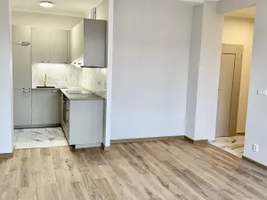 Prodej bytu 2+kk, Praha - Holešovice, Ortenovo náměstí, 50 m2