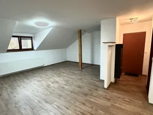 Pronájem bytu 1+kk, Karviná, Fryštátská, 48 m2