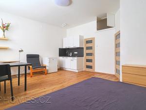 Pronájem bytu 1+kk, Praha - Nusle, Petra Rezka, 32 m2