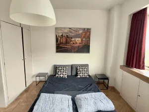 Pronájem bytu 2+1, Praha - Staré Město, Revoluční, 58 m2