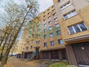 Prodej bytu 1+kk, Havířov, 17. listopadu, 25 m2