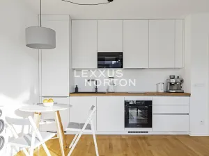 Prodej bytu 1+kk, Praha - Žižkov, Krásova, 36 m2