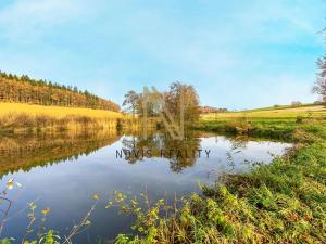 Prodej rybníku, Týnec, 2713 m2