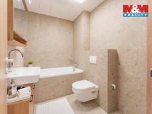 Pronájem bytu 1+kk, Brandýs nad Labem-Stará Boleslav - Brandýs nad Labem, Dřevčická, 38 m2