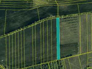 Prodej pole, Roštín, 12575 m2