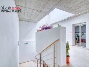 Pronájem bytu 1+kk, Hranice, Jiráskova, 20 m2