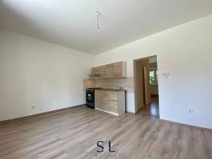 Pronájem bytu 1+1, Nový Bor, Riegrova, 30 m2