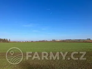 Prodej pole, Střezetice, 28205 m2