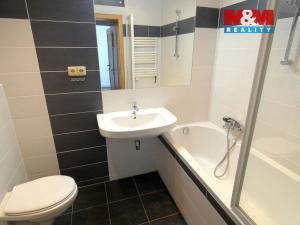 Pronájem bytu 1+kk, Ostrava - Krásné Pole, Družební, 30 m2