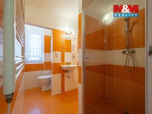 Pronájem bytu 3+1, Týnec nad Sázavou, Jílovská, 61 m2