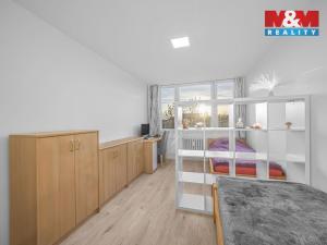 Prodej bytu 3+kk, Hradec Králové - Slezské Předměstí, Uhelná, 54 m2