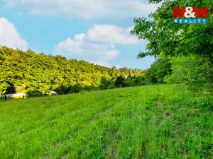 Prodej louky, Jílové u Prahy, 18692 m2