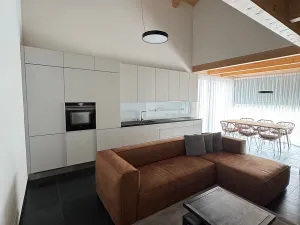 Prodej rodinného domu, Loučná pod Klínovcem, 180 m2