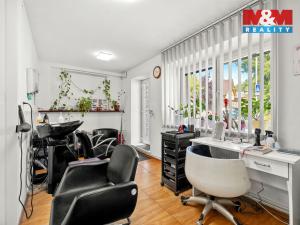 Prodej rodinného domu, Benátky nad Jizerou - Benátky nad Jizerou I, Miroslava Soumara, 178 m2