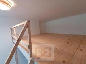 Pronájem bytu 1+kk, Ostrava, Palackého, 30 m2