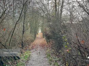 Prodej pozemku, Jílové u Prahy, 3438 m2