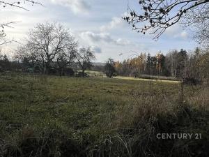 Prodej rodinného domu, Loket, 261 m2