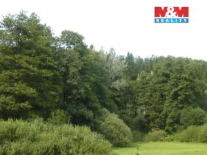 Prodej lesa, Vysoká Srbská, 26095 m2