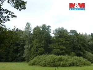 Prodej lesa, Vysoká Srbská, 26095 m2