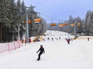 Prodej bytu 1+kk, Loučná pod Klínovcem, 28 m2