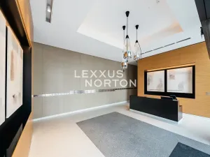 Pronájem bytu 1+kk, Praha - Vinohrady, Dudova, 57 m2