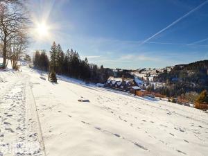 Prodej apartmánu, Vítkovice, 54 m2