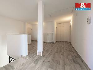 Pronájem rodinného domu, Říčany - Radošovice, Mozartova, 395 m2