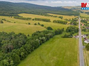 Prodej louky, Dětřichov, 4178 m2
