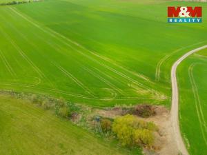 Prodej louky, Olešnice, 730 m2