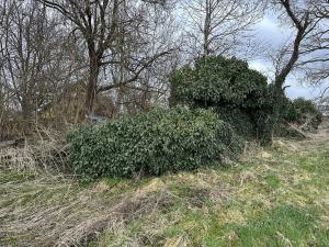 Dražba pozemku, Malonty, 135 m2