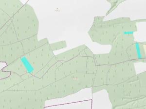 Dražba lesa, Blížejov, 16569 m2