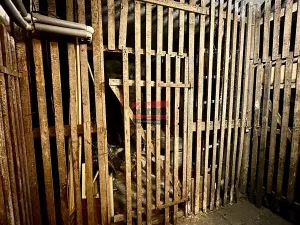 Prodej podílu rodinného domu, Praha - Hloubětín, Poděbradská, 645 m2