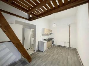 Pronájem bytu 1+kk, Liberec, Rumjancevova, 25 m2