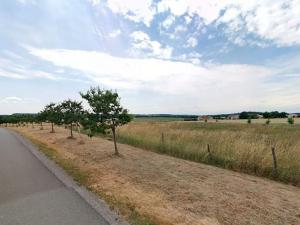 Prodej pole, Maršov, 31902 m2