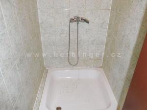 Prodej rodinného domu, Ostrava - Vítkovice, Mírová, 1391 m2