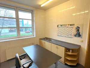 Pronájem obchodního prostoru, Český Těšín, Frýdecká, 160 m2