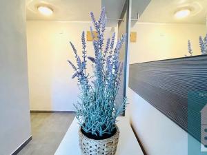 Pronájem bytu 2+1, Kroměříž, 64 m2