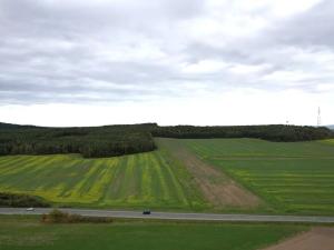 Prodej komerčního pozemku, Chotíkov, 7341 m2