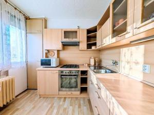 Pronájem bytu 1+1, Mladá Boleslav, U stadionu, 45 m2