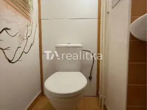 Prodej bytu 3+1, Opava, U Fortny, 73 m2