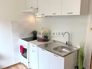 Pronájem bytu 1+1, České Budějovice, J. Bendy, 31 m2