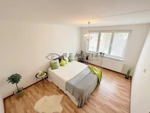 Pronájem bytu 1+1, České Budějovice, J. Bendy, 31 m2