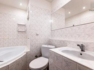 Pronájem bytu 1+kk, Brno, Švermova, 30 m2