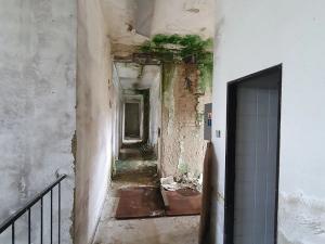 Prodej komerčního pozemku, Tišnov, Červený Mlýn, 6493 m2