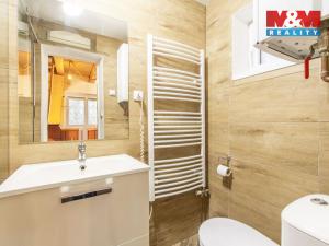 Prodej pozemku pro bydlení, Rudná pod Pradědem - Stará Rudná, 14105 m2