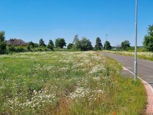 Prodej pozemku, Nedomice, 803 m2