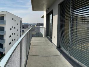 Pronájem bytu 3+kk, Brno - Sadová, Kumpoštova, 152 m2