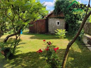 Prodej rodinného domu, Vranov, 250 m2